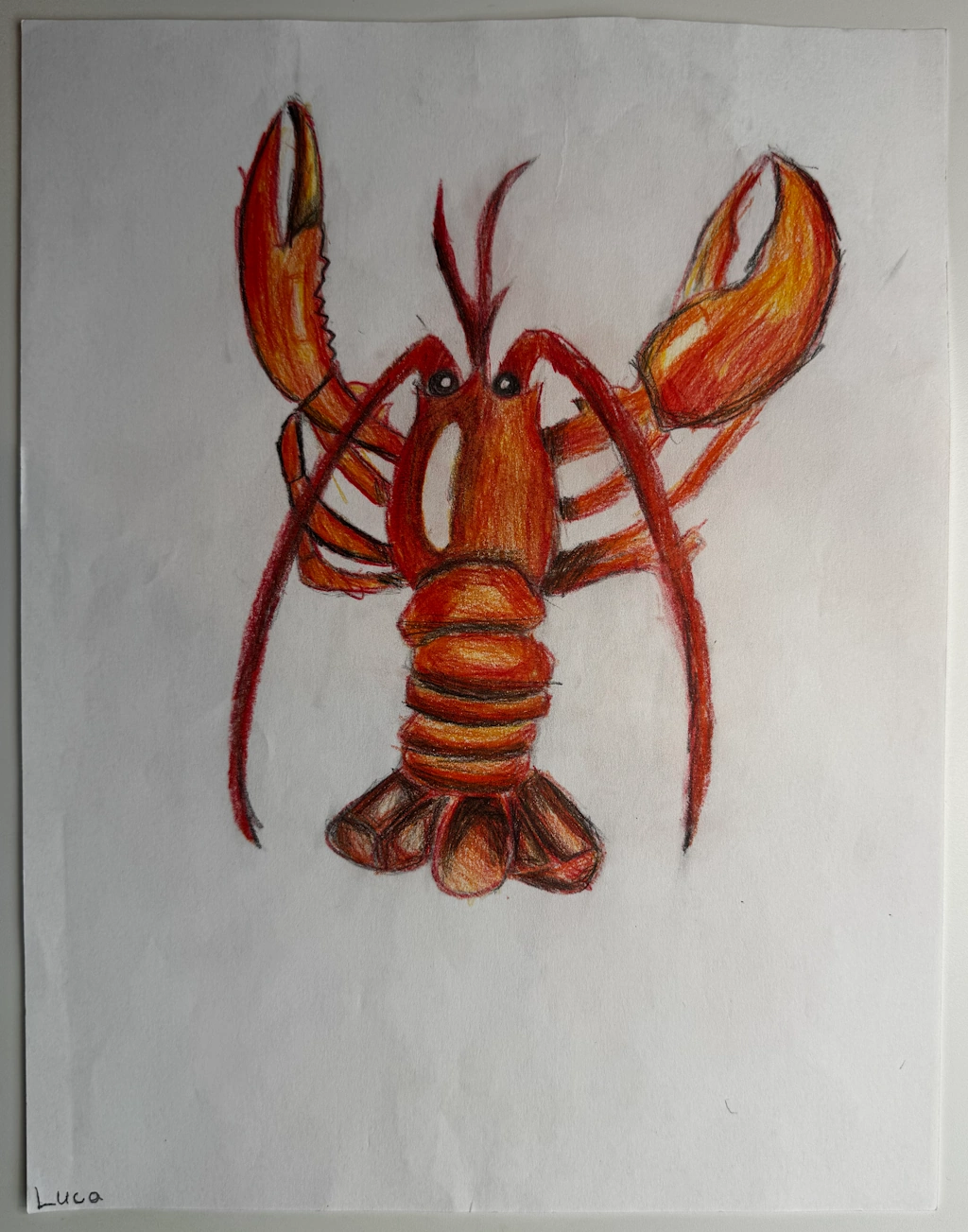 Lobster