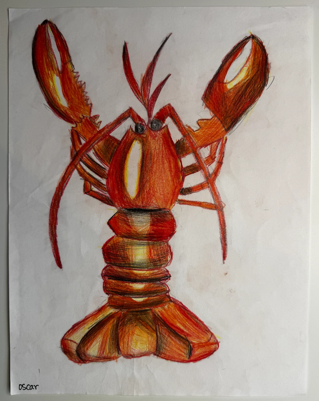 Lobster-Oscar